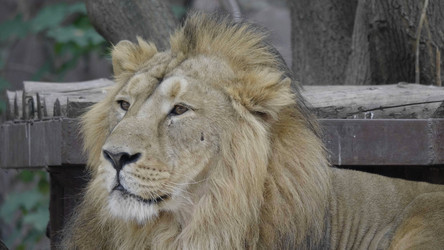 Similar image 21644723