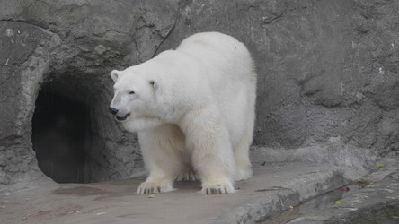 Similar image 21644996