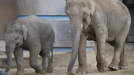 Similar image 21645049