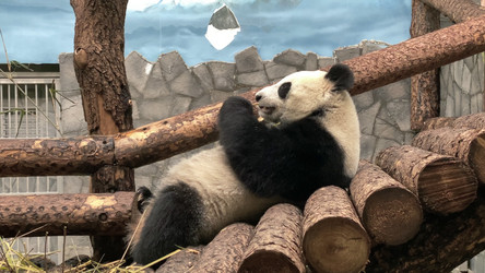 Similar image 21645321