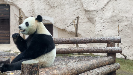 Similar image 21648382