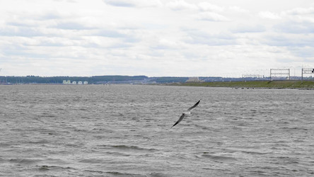 Similar image 21633223