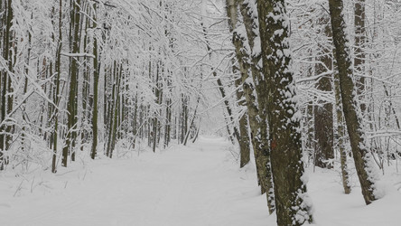 Similar image 21647016