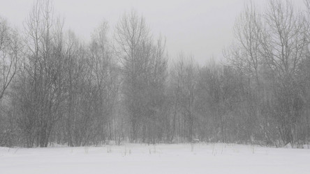 Similar image 21647195