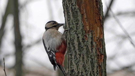 Similar image 21633423