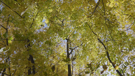 Similar image 21634156