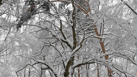 Similar image 21635275