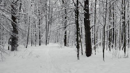 Similar image 21644257