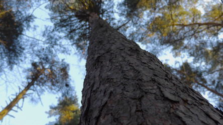 Similar image 21644572