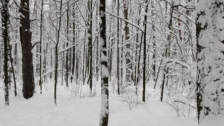 Similar image 21644576