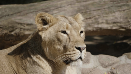 Similar image 21655621