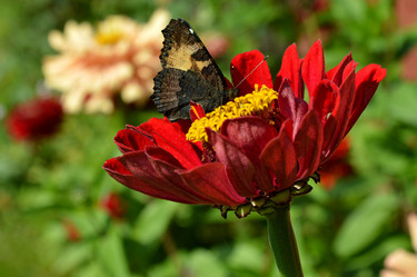 Similar image 21659503