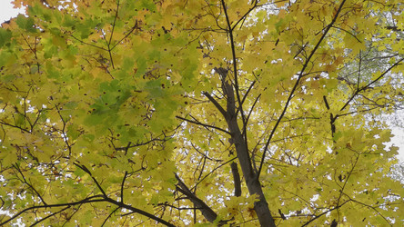 Similar image 21644582