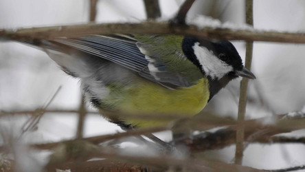 Similar image 21645019