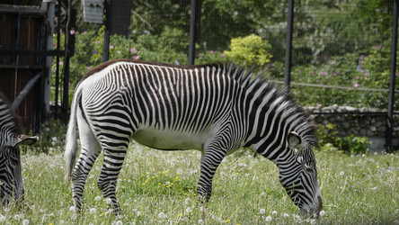 Similar image 21651430