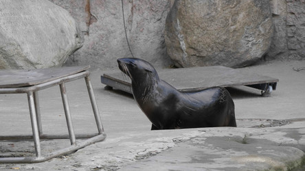 Similar image 21651431