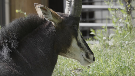 Similar image 21651432