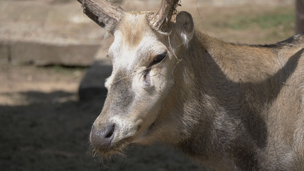 Similar image 21651433