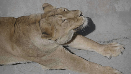 Similar image 21651434