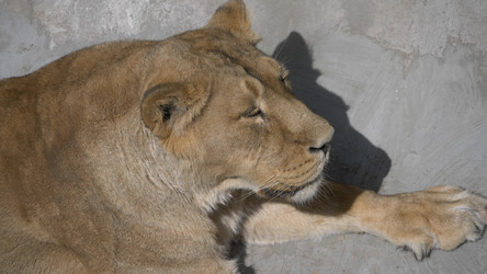 Similar image 21655327