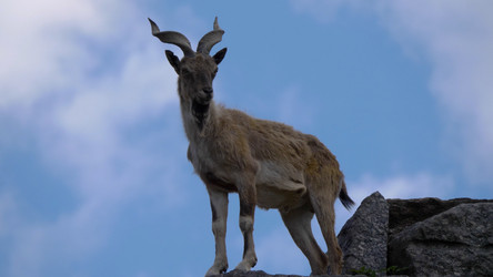 Similar image 21655533