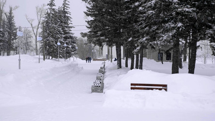 Similar image 21646871