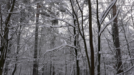 Similar image 21651436