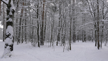 Similar image 21651437