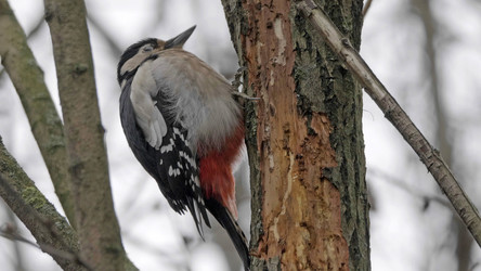 Similar image 21644258