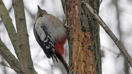 Similar image 21644585