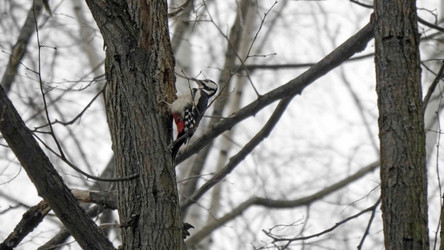 Similar image 21644586