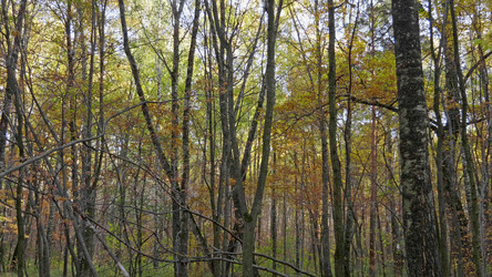 Similar image 21632575