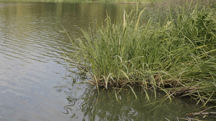 Similar image 21632721