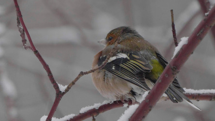 Similar image 21644595