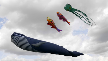 Similar image 21644596