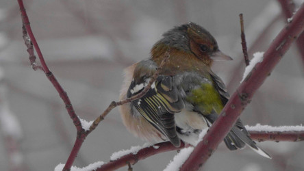 Similar image 21644597