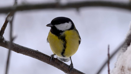 Similar image 21644600