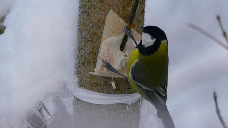 Similar image 21644999