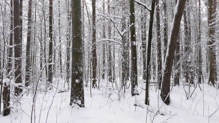 Similar image 21645324