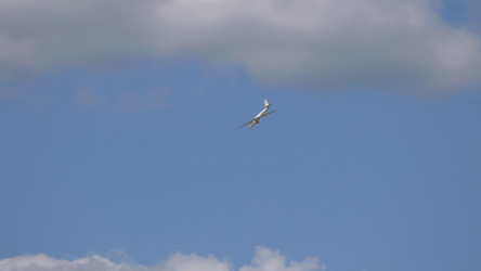 Similar image 21646873