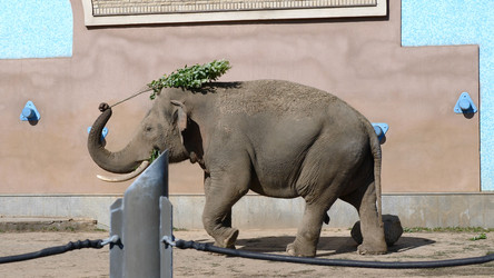 Similar image 21632729