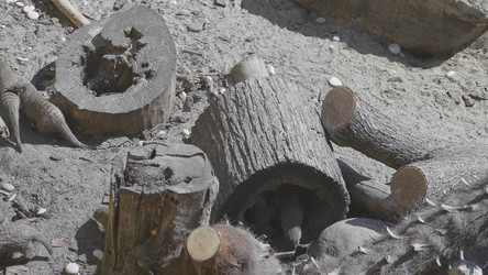 Similar image 21632916