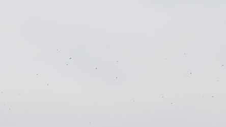 Similar image 21633233