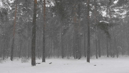 Similar image 21633429