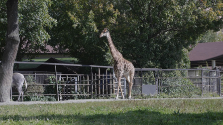 Similar image 21647206