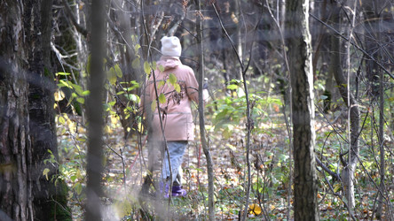 Similar image 21646876