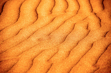 Similar image 21638822