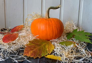 Similar image 21638842