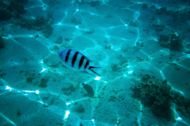 Similar image 21638853