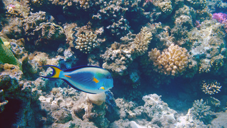 Similar image 21638854